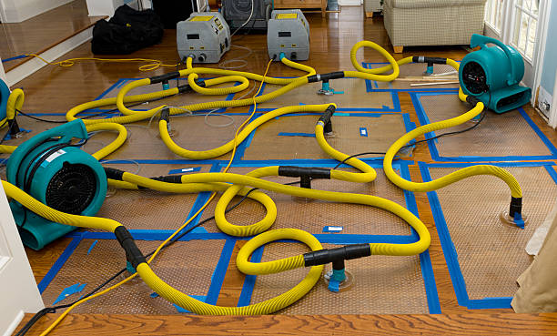 Professional Water Extraction technician working in Carlsbad, CA
